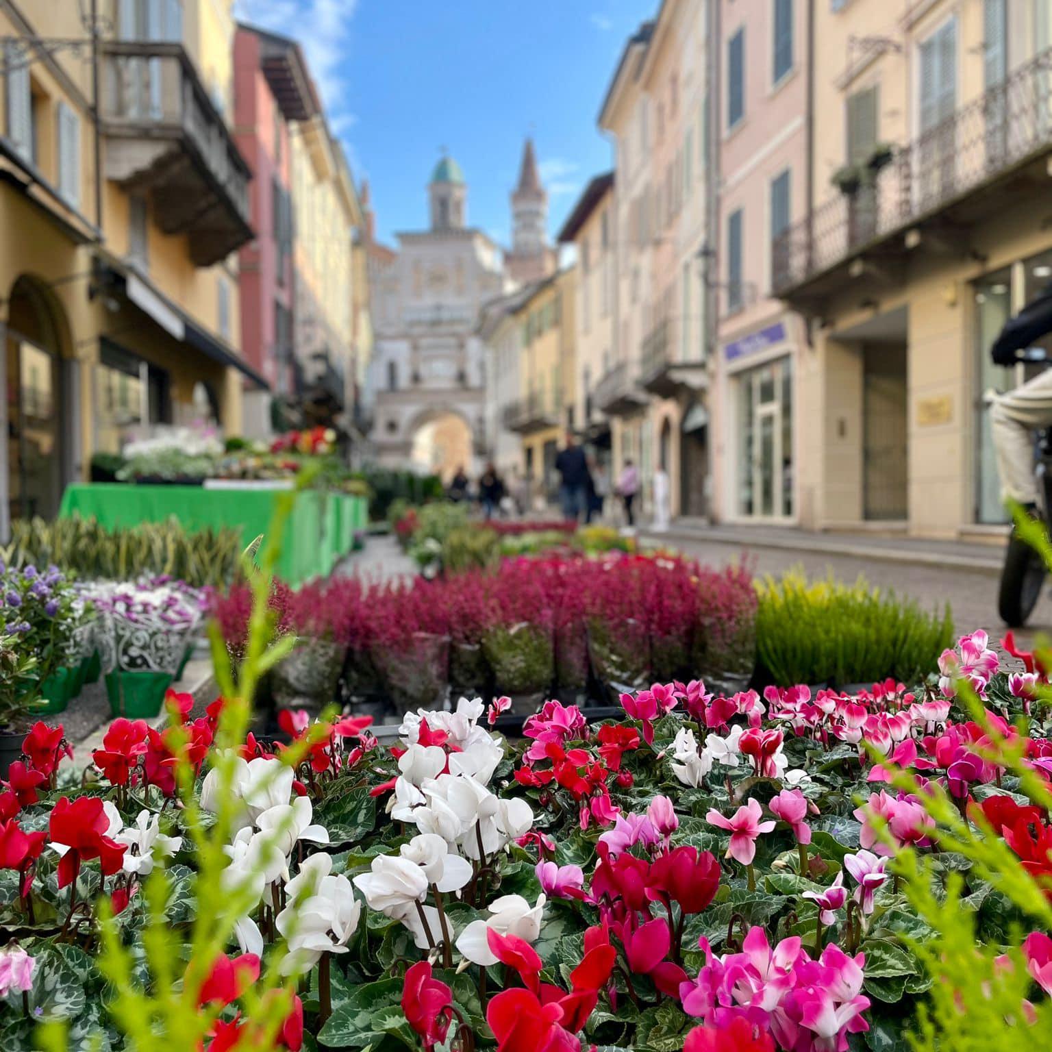 Centro di Crema maggio